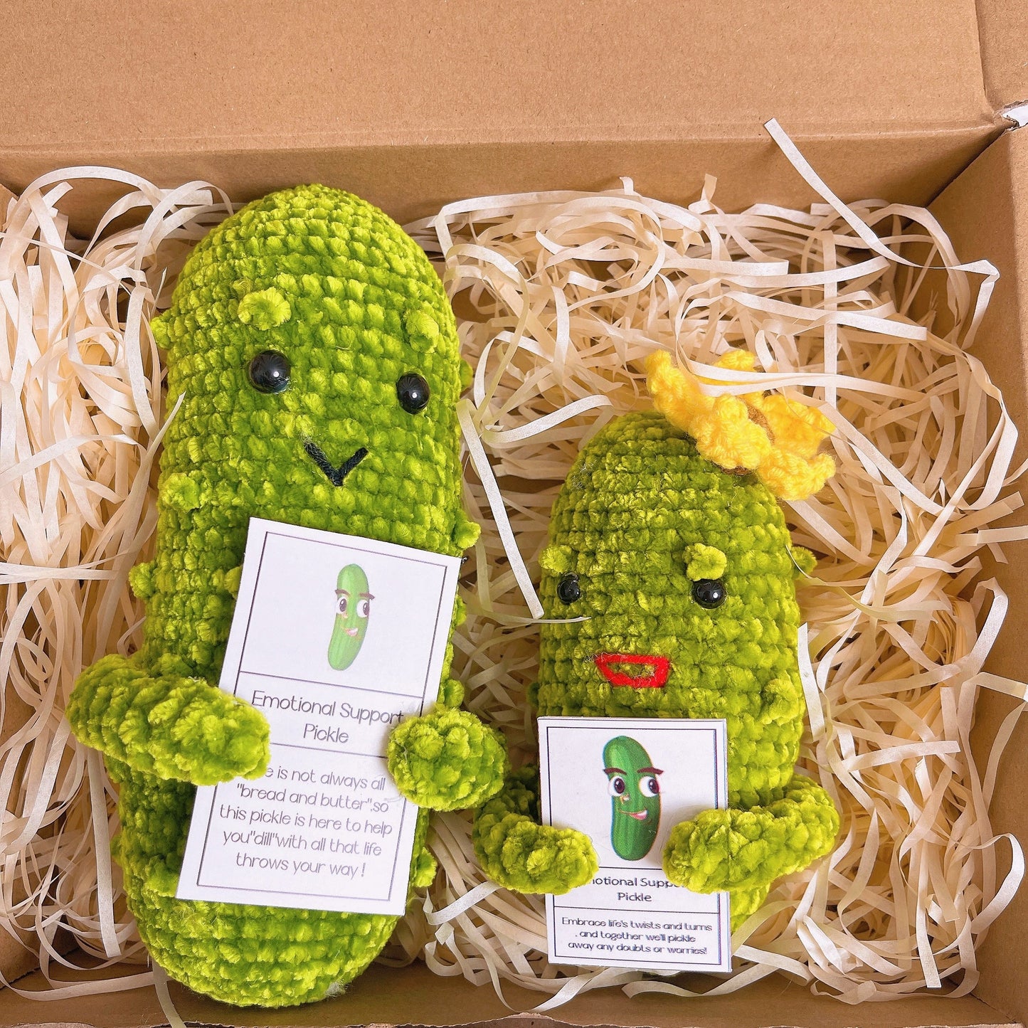Custom Text Emotional Support Pickles for Bundle Set Get Well Handmade Positive Gift for Pickle Lover Stay Happy Motivated New Year Resolution Gift Exchange Family Giving - The Bloom Crafter