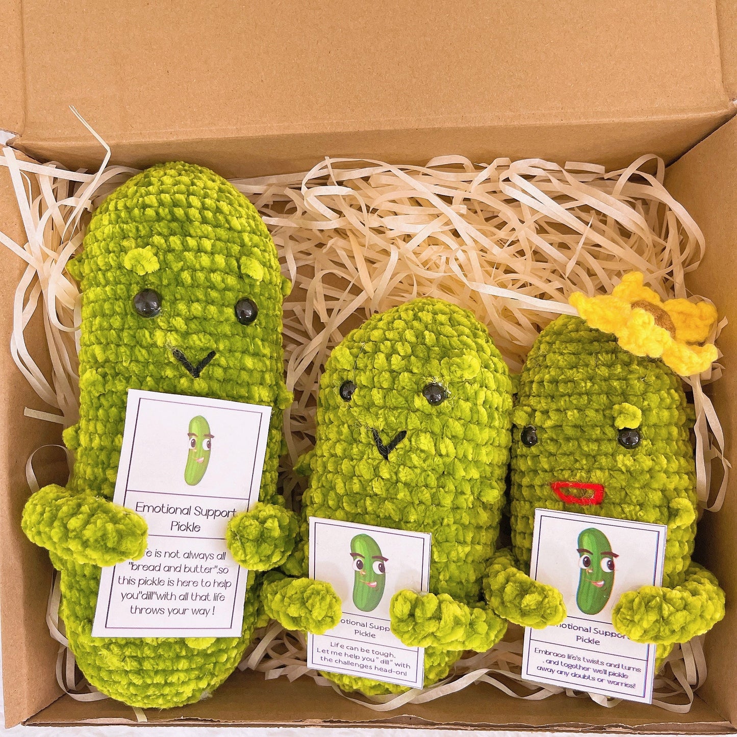 Custom Text Emotional Support Pickles for Bundle Set Get Well Handmade Positive Gift for Pickle Lover Stay Happy Motivated New Year Resolution Gift Exchange Family Giving - The Bloom Crafter