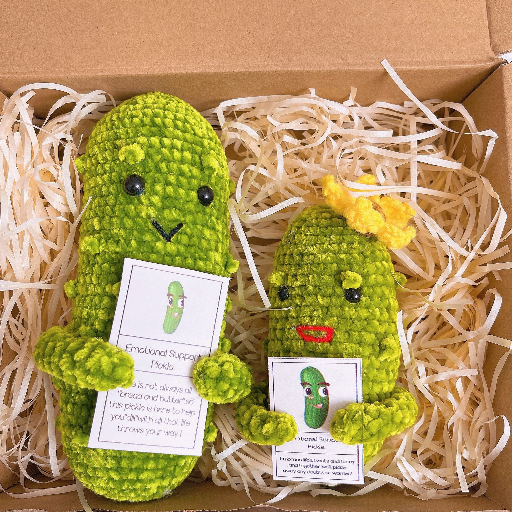 Custom Text Emotional Support Pickles for Bundle Set Get Well Handmade Positive Gift for Pickle Lover Stay Happy Motivated New Year Resolution Gift Exchange Family Giving - The Bloom Crafter