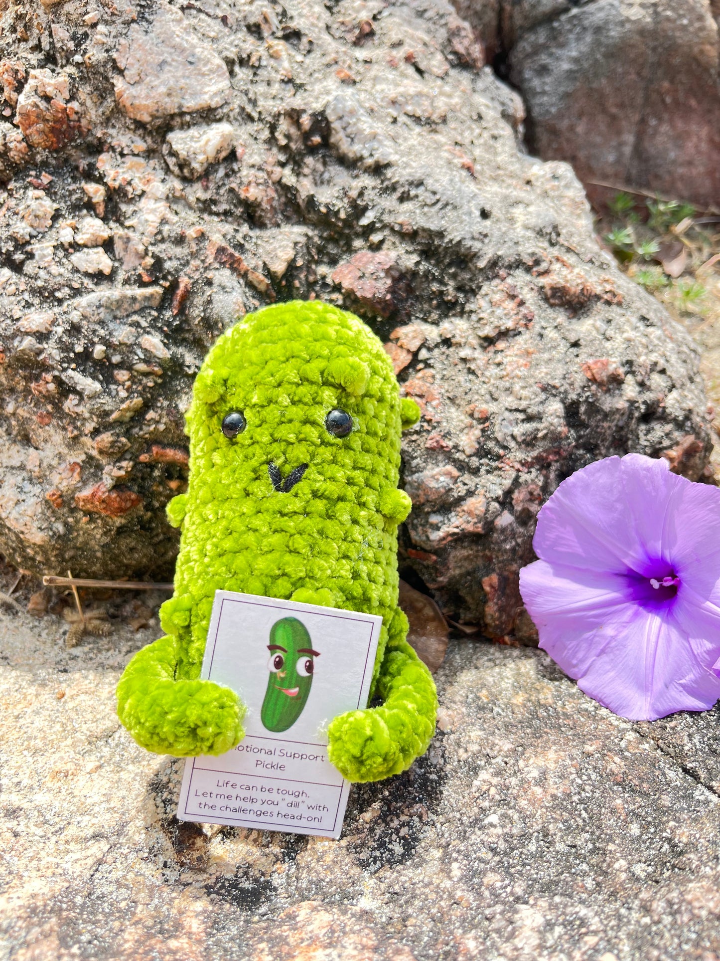 Custom Text Emotional Support Pickles for Bundle Set Get Well Handmade Positive Gift for Pickle Lover Stay Happy Motivated New Year Resolution Gift Exchange Family Giving - The Bloom Crafter