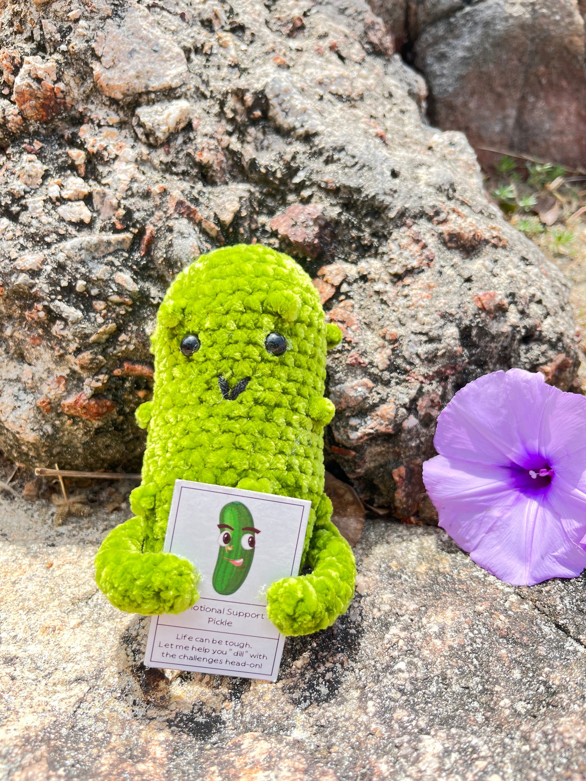 Custom Text Emotional Support Pickles for Bundle Set Get Well Handmade Positive Gift for Pickle Lover Stay Happy Motivated New Year Resolution Gift Exchange Family Giving - The Bloom Crafter