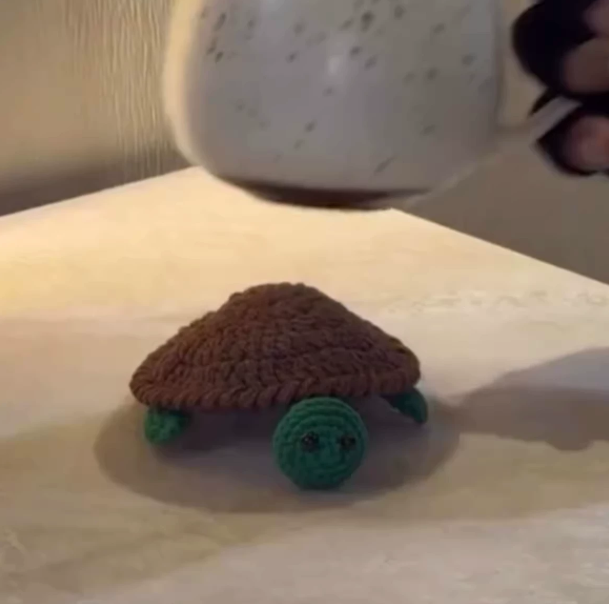 Handmade Crochet Turtle Coaster