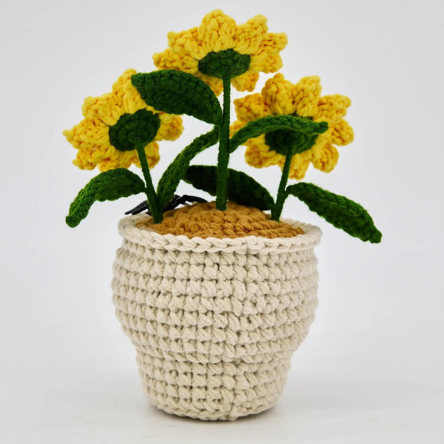 Skull Sunflower Pot with Spider