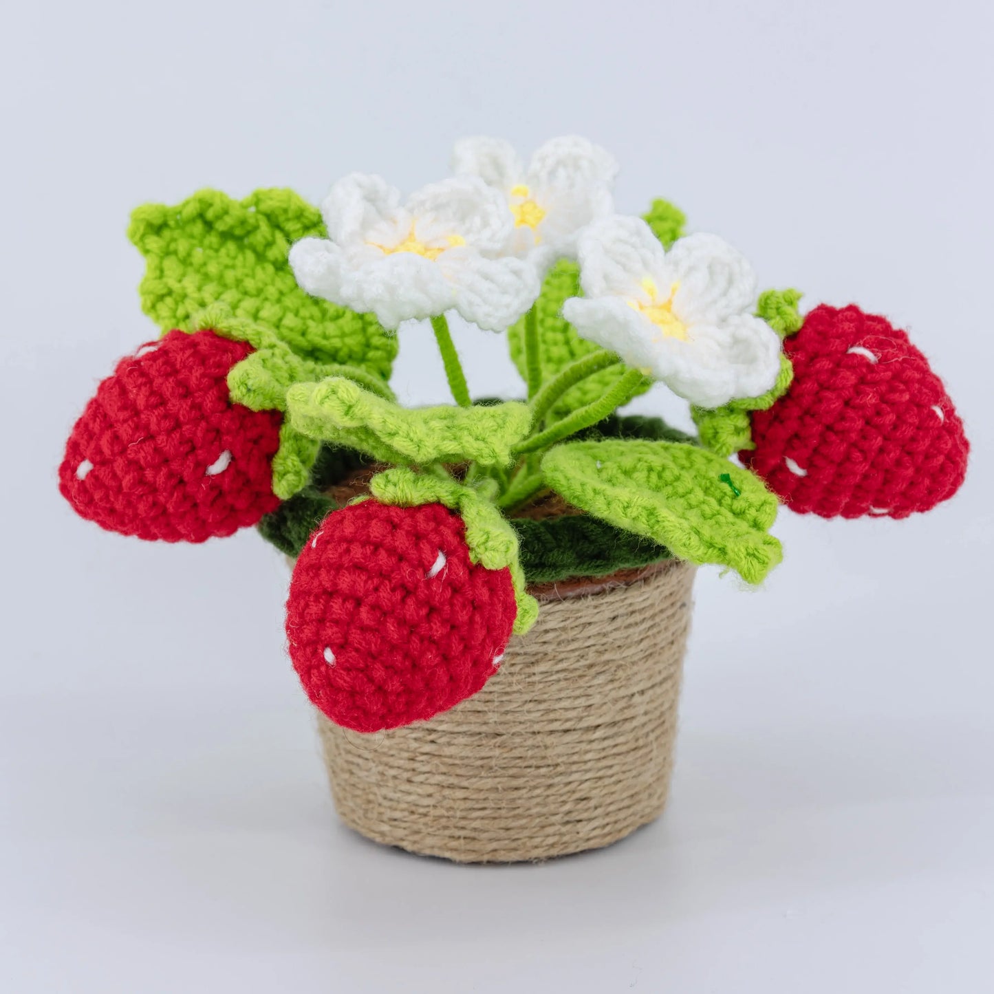 Crochet Strawberry Pot